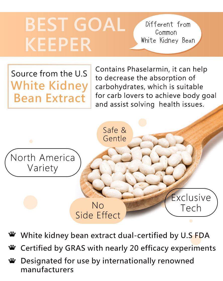 BHK's White Kidney Bean can effectively decrease absorption of carbohydrates with no side-effects and efficacy proven.慮