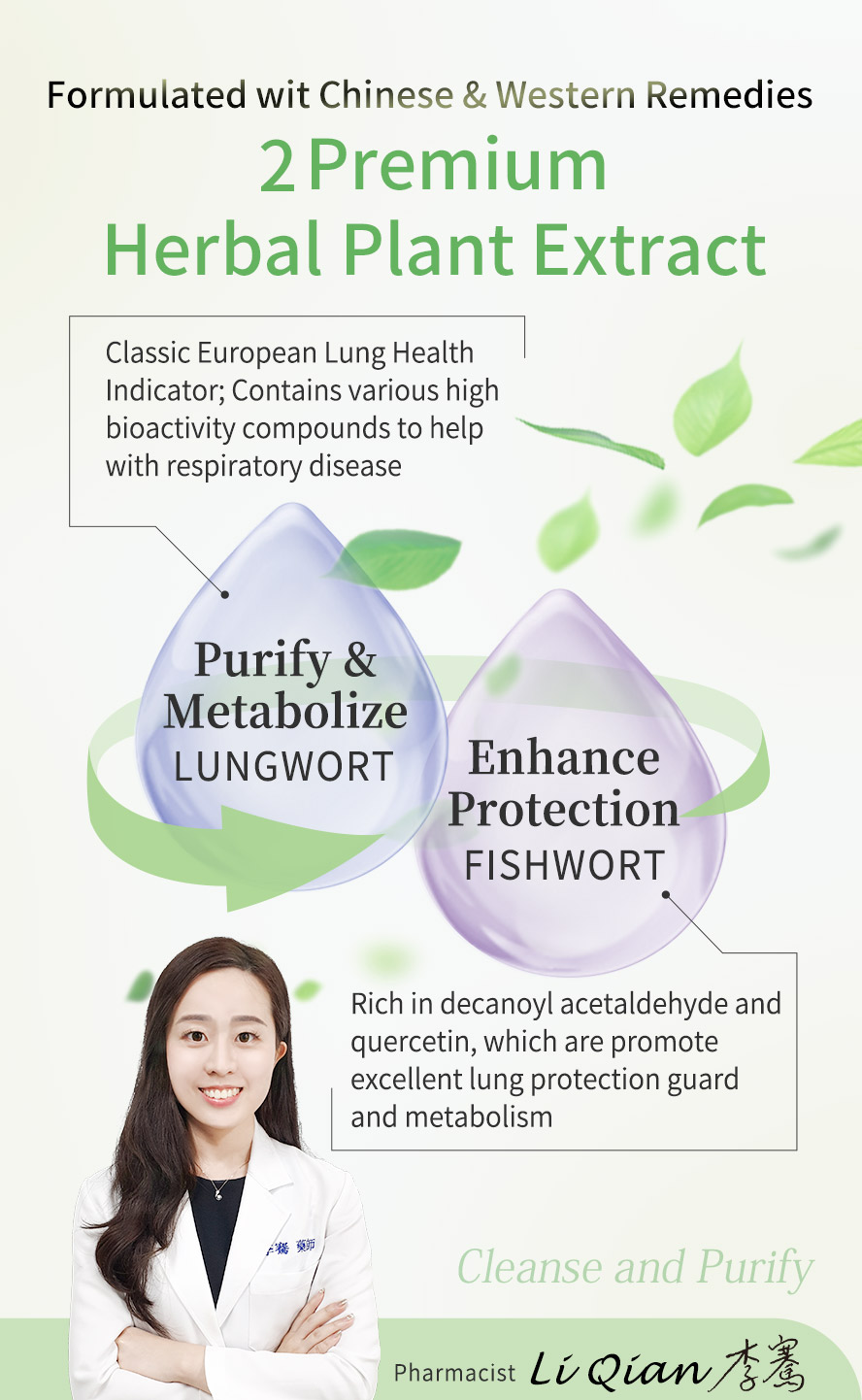 BHK's Lungwort Extract can protect lungs and help with preventing respiratory disease which is highly recommended by pharmacist.