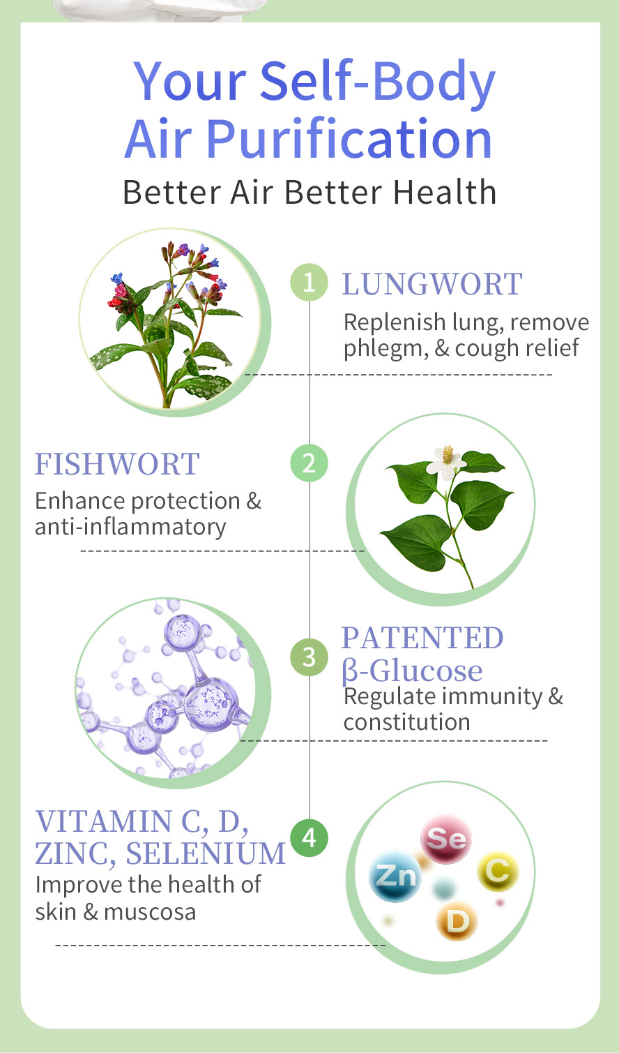 BHK's Lungwort Extract contains patented glucose, vitamins and minerals to enhance respiratory immunity, replenish lung, and cough relief.