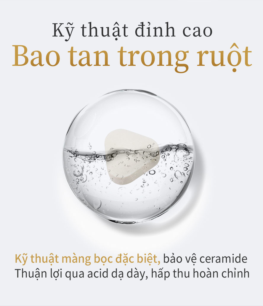 Viên nén cấp ẩm Ceramide BHK's sử dụng kỹ thuật đặc biệt ,đảm bảo viên nén không bị phá hoại bởi acid dạ dày ,trực tiếp tới đường ruột hấp thụ hoàn chỉnh ,chống lão hóa giảm vết nhăn hiệu quả