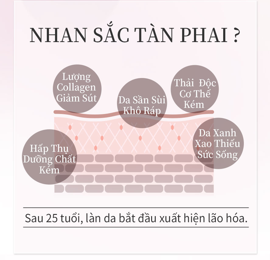 sau 25 tuổi tế bào chết dày, quá trình trao đổi chất chậm, bắt đầu có những vấn đề da nhão, không còn trắng sáng, tối màu 