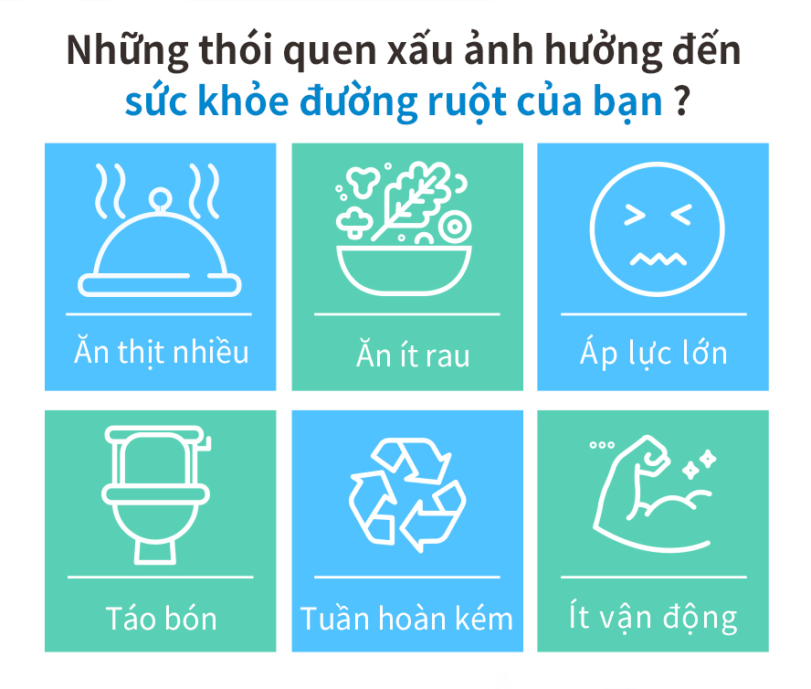 thích hợp cho những bạn cuộc sống nhiều áp lực ,ăn không đủ rau củ quả ,hay hắc xì ,táo bón