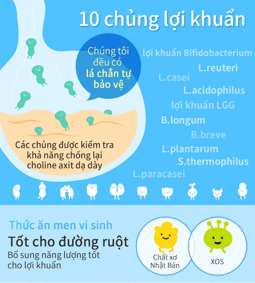 chứa men vi sinh Mỹ ,số lượng men vi sinh nhiều 10 trong 1 ,bảo vệ sức khỏe hoàn chỉnh cho bạn