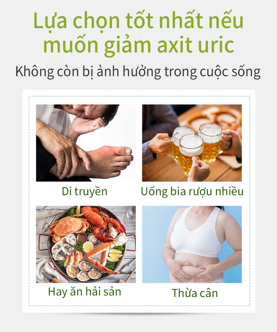 thích hợp cho những người muốn điều chỉnh cơ địa ,bệnh gout ,thường xuyên uống bia rượu ,ăn tôm cua dễ bị đau chân ,thích uống đồ ngọt trà sữa