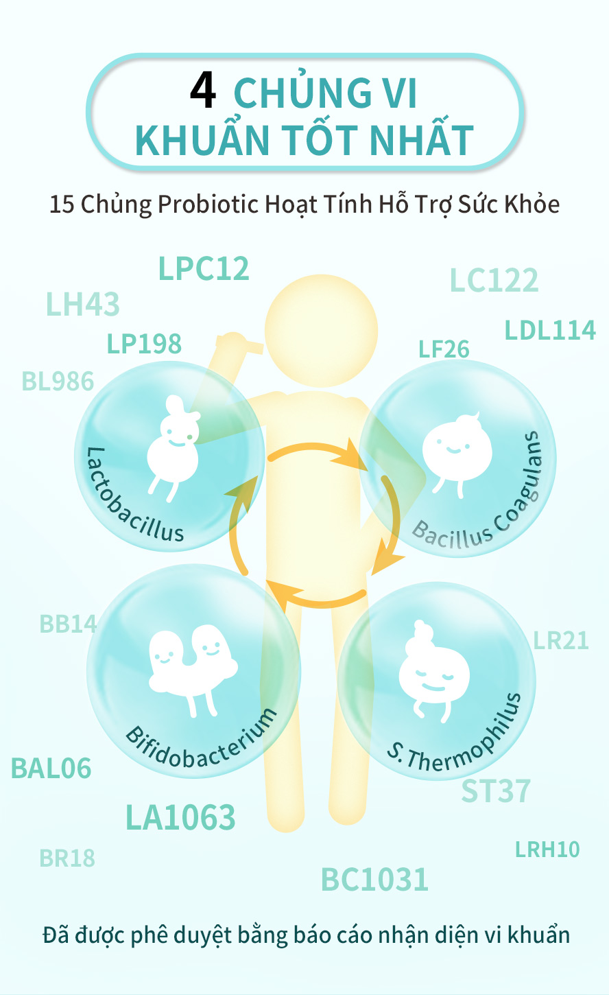 là men vi sinh tốt cho cả gia đình