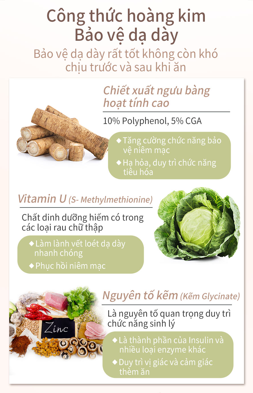 ngưu bàng còn vỏ, 10% Polyphenol, 5% Axit chlorogenic, thêm vitamin U và kẽm giảm đau bao tử