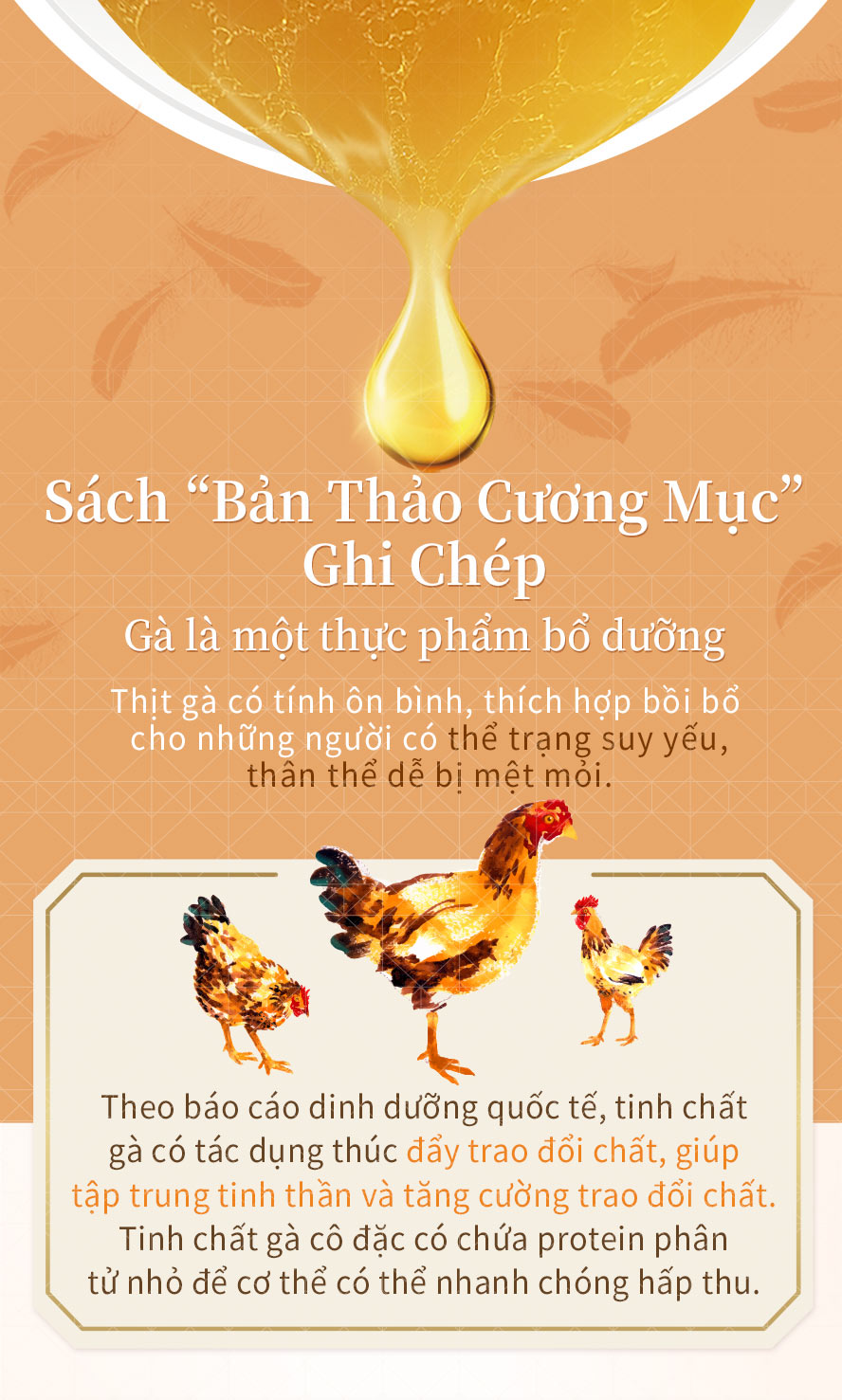 nghiên cứu chỉ ra nước cốt gà có thể tăng trao đổi chất, còn nước cốt gà cô đặc thành phần chủ yếu là protein phần tử nhỏ dễ tiêu hóa, hấp thu hiệu quả trong thời gian ngắn