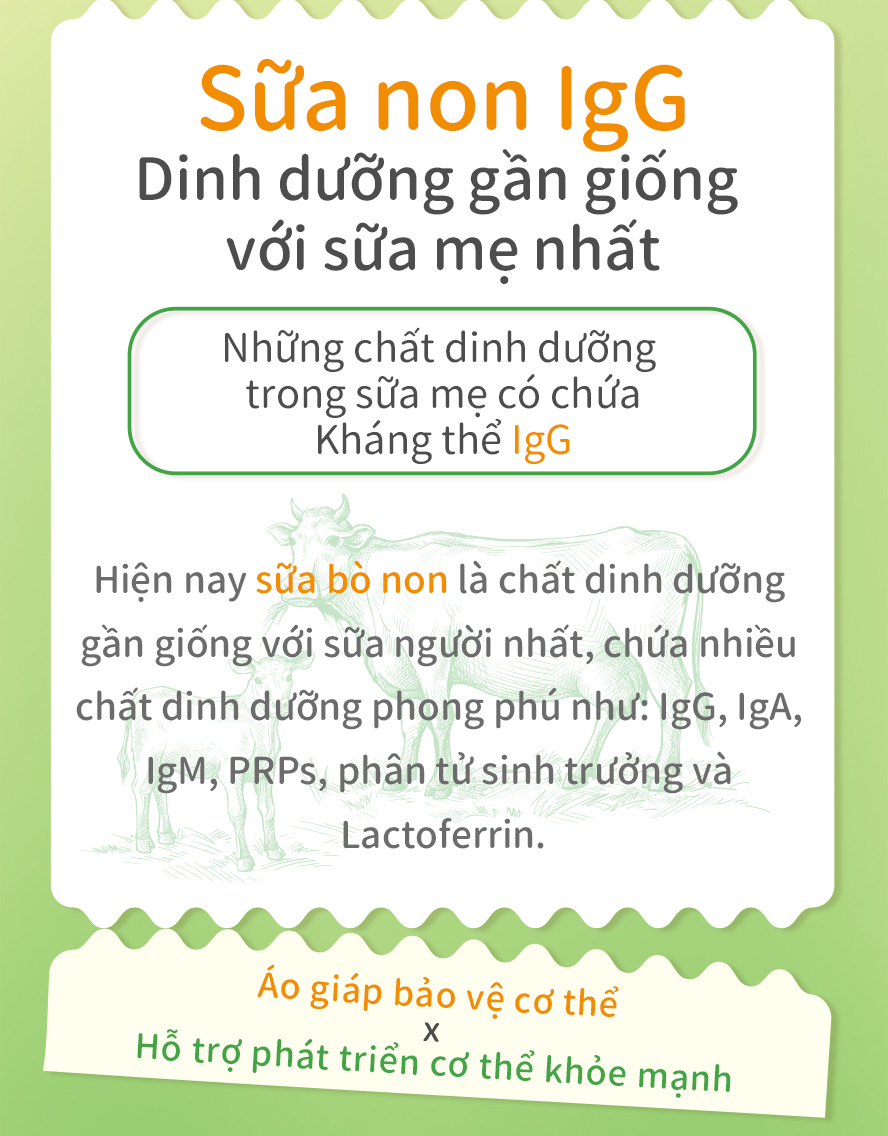 sử dụng sữa non chỉ số IgG hơn 30%, tăng hệ miễn dịch, phòng chống vi khuẩn