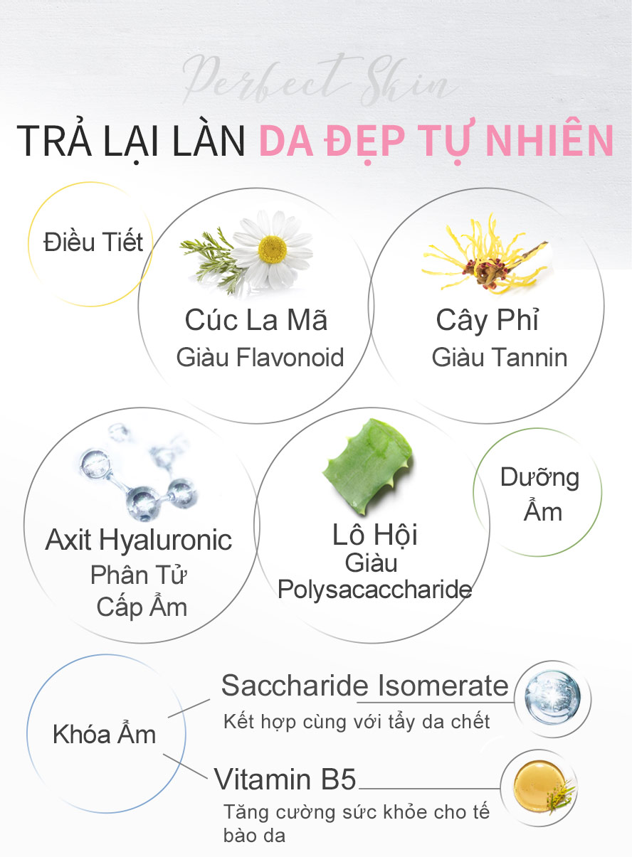 6 thành phần lớn, hoa cúc làm dịu da, chiết xuất cây phỉ điều chỉnh tiết bã nhờn, lô hội duy trì làn da đàn hồi, HA tự nhiên giữ nước sau khi rửa da không bị khô, phần tử giữ ẩm và vitamin B5 dưỡng ẩm cho da và bảo vệ làn da khỏe mạnh