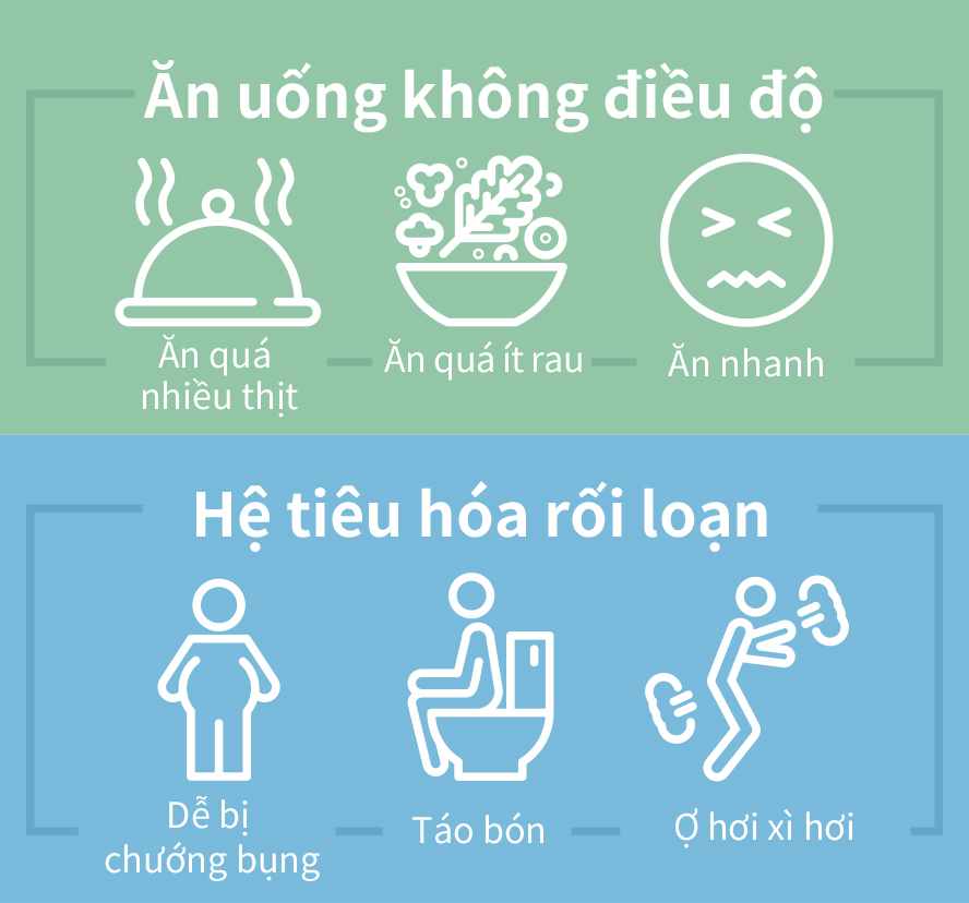 phân giải thức ăn thịt, cá tiêu hóa nhanh hết táo bón